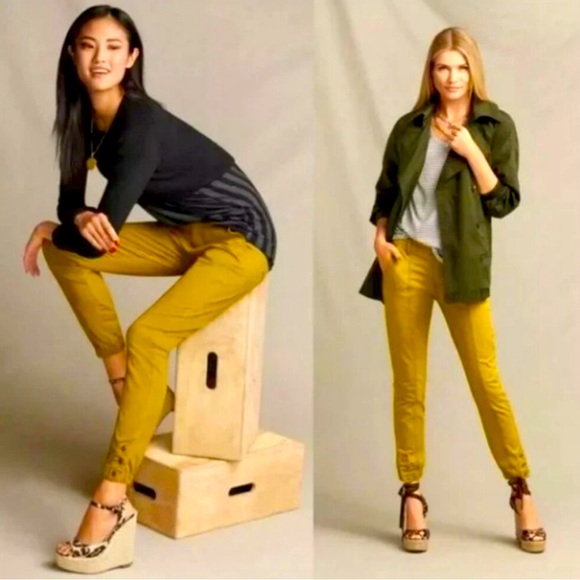 CABI 5504 The Tracker Pant 6 Jogger Marigold Mustard Pants Stretch Cotton Snap - Picture 1 of 8